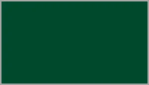 Verde 6005 speciale 15
