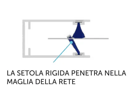 In sezione: la setola rigida penetra nella maglia